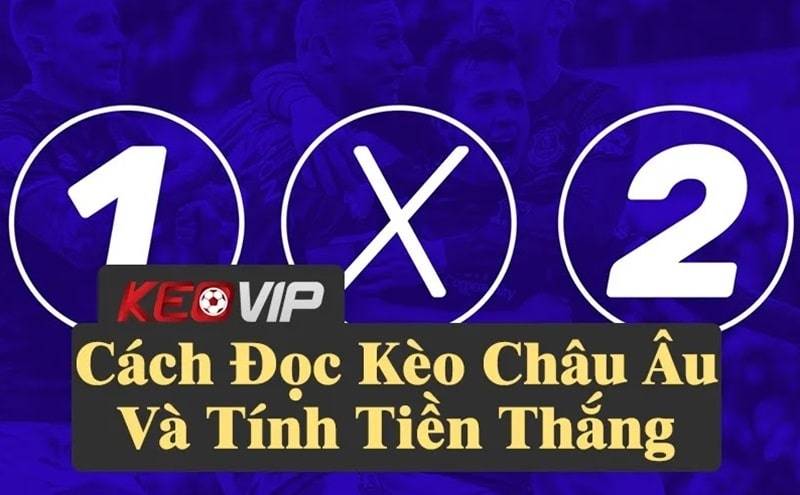 Cách đọc kèo Châu Âu và tính tiền thắng thua chính xác